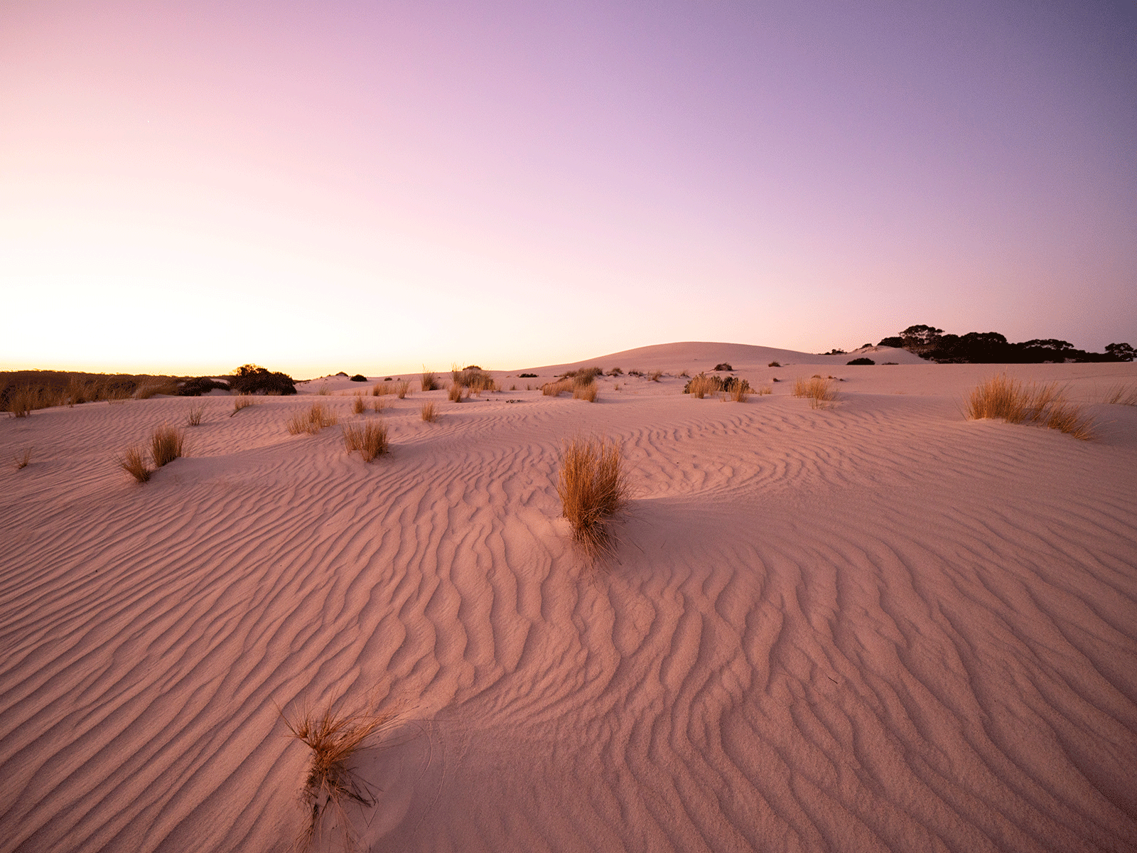 Source: Tourism Australia