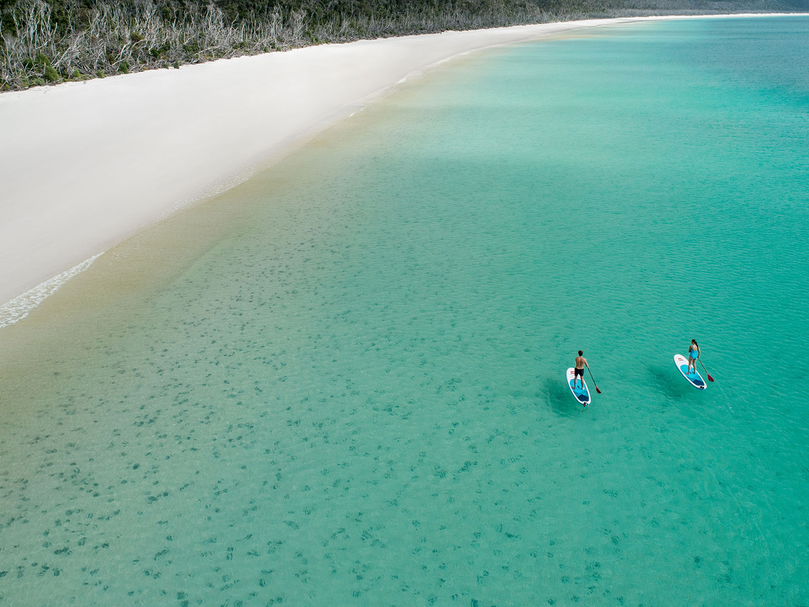 Paddle boarding at Hayman Island